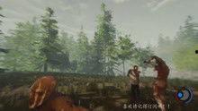 森林游戏视频,游戏视频中的奇幻之旅