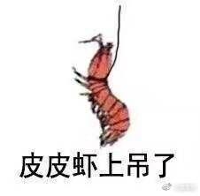 皮皮虾 视频,趣味横生的短视频盛宴