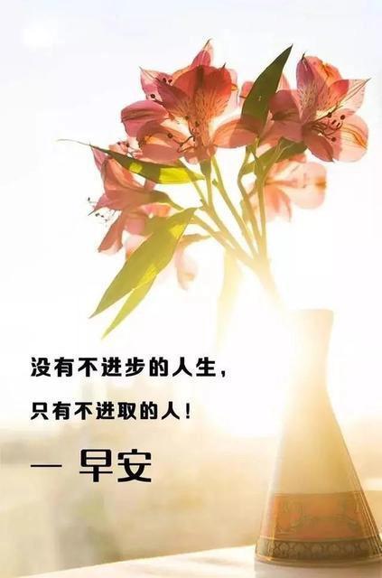 励志正能量视频,励志正能量视频启示录