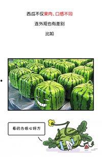 吃瓜黑历史正能量查询网,传递正能量