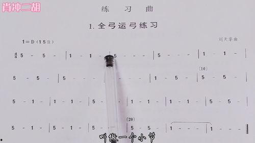 二胡视频教程,跟随视频学习经典曲目演奏技巧