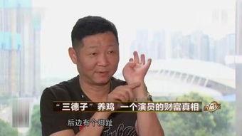 交警手势视频,交通指挥背后的奥秘