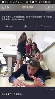 我看视频,XX主题深度解析