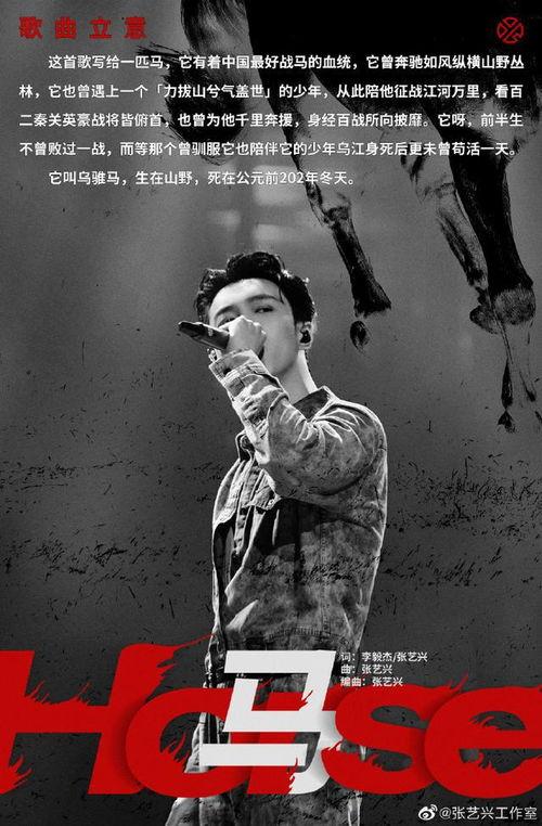 马叫视频