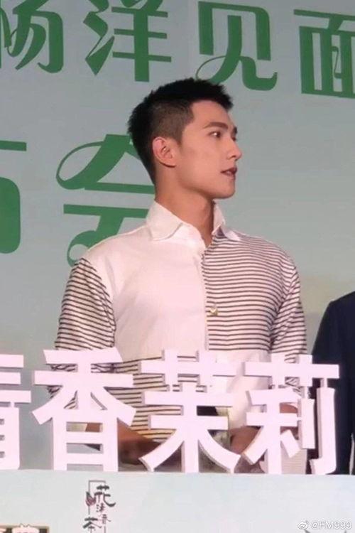 杨洋直播视频,魅力四溢的幕后故事