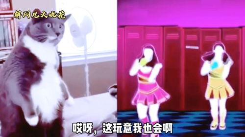 恶搞配音视频,笑料百出，欢乐无限