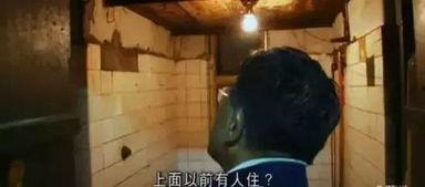 穷视频,揭秘低成本短视频制作的艺术与技巧