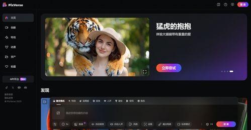 有声视频,探寻有声视频的魅力之旅