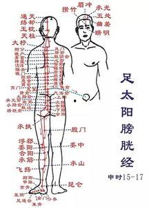 十二经络拍打视频,视频教程详解