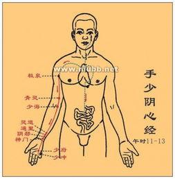 十二经络拍打视频,视频教程详解