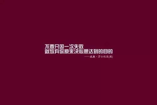 励志语录视频,励志语录视频启示录