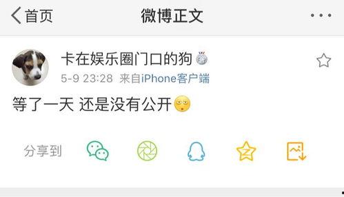 火爆吃瓜爆料是什么意思