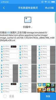 怎么恢复删除的视频,掌握高效恢复技巧