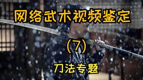 刀法视频,视频解析经典刀法技巧与实战应用
