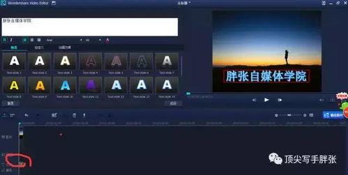 怎么做原创视频,打造独树一帜原创视频的秘诀解析