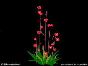 背景动态视频,揭秘背景视频的精彩瞬间