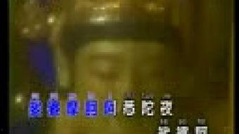 大悲咒视频播放,感悟慈悲智慧，净化心灵之旅