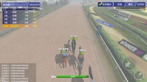 跑马视频,速度与激情的赛道瞬间