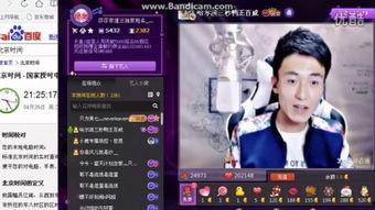 鸭王三级视频,揭秘鸭界传奇，探寻三级世界的奥秘