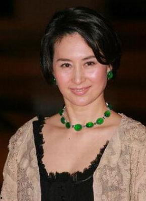 何超琼视频,传奇女商人的人生智慧与商业传奇