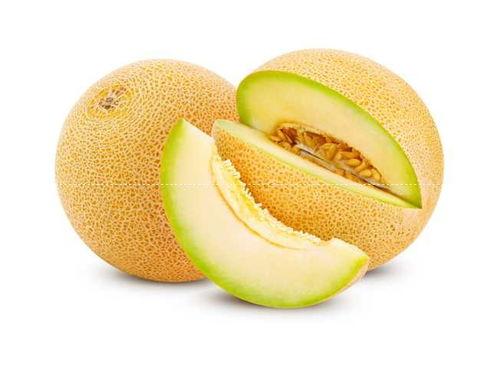 潮州今日哈密瓜价格多少,新鲜上市，品质保证！”