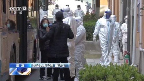 一级日批视频,深度解析行业动态与市场趋势
