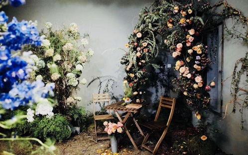 秘密花园视频,揭秘视频中的奇幻世界