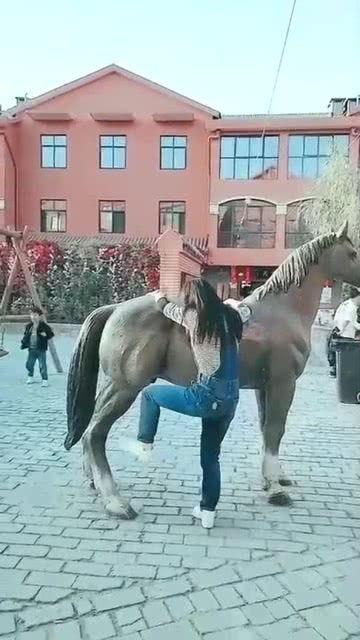 搞笑骑马视频,搞笑骑马视频集锦，马儿也忍不住笑出声