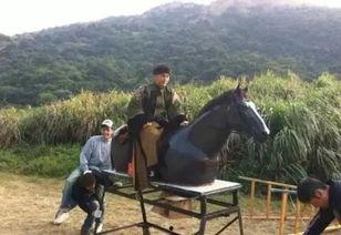 搞笑骑马视频,搞笑骑马视频集锦，马儿也忍不住笑出声