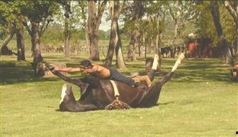 人马视频,探索奇幻生物与人性的交织之旅